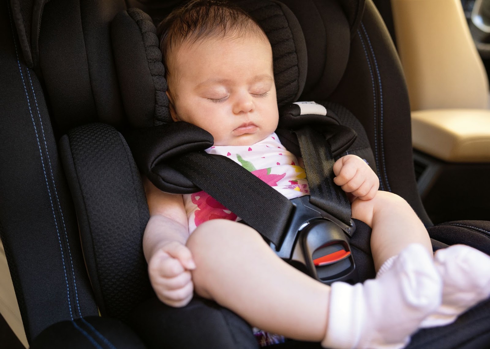 Little Kingdom Nursery -Little Kingdom Nursery unnamed